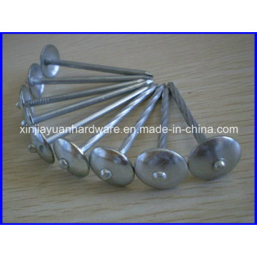 Q235 Twist Schaft Unbrella Head Roofing Nail